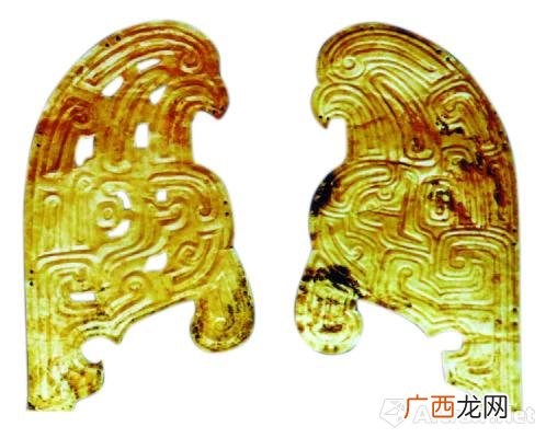 鸱枭是什么鸟,什么鸟一出生看到的不是妈妈?