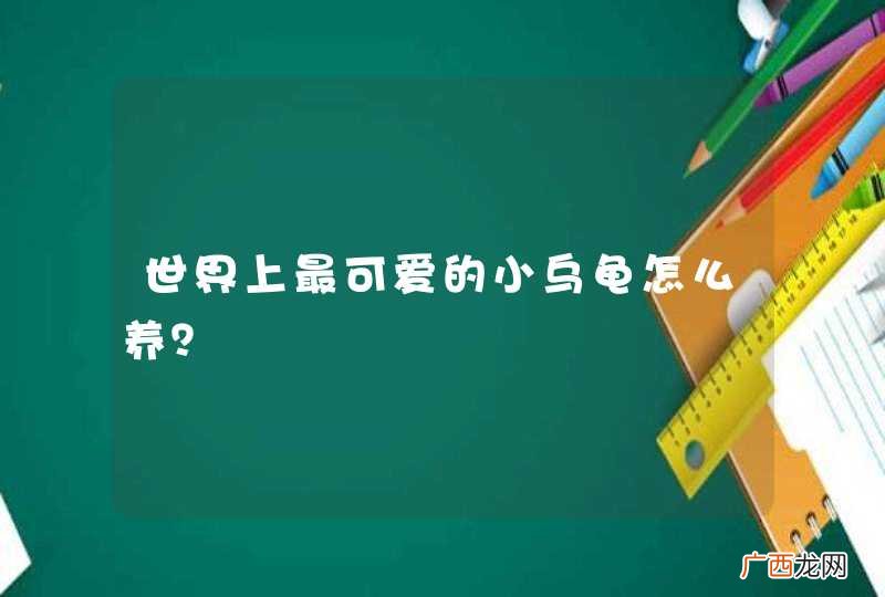 世界上最可爱的小乌龟怎么养？