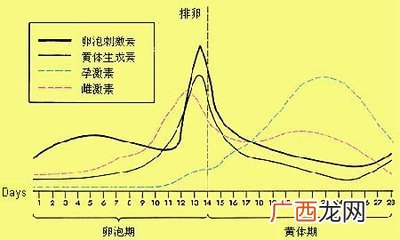 大姨妈周期怎么算时间,大姨妈的周期怎么计算，多少天算正常？