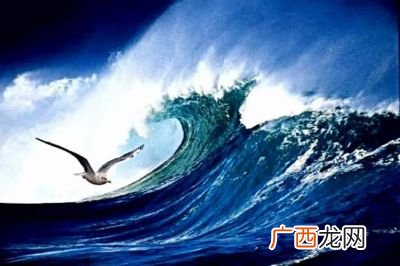 高尔基的海燕是什么意思,《海燕》海燕作为一种海鸟的海燕具有什么样的特点？