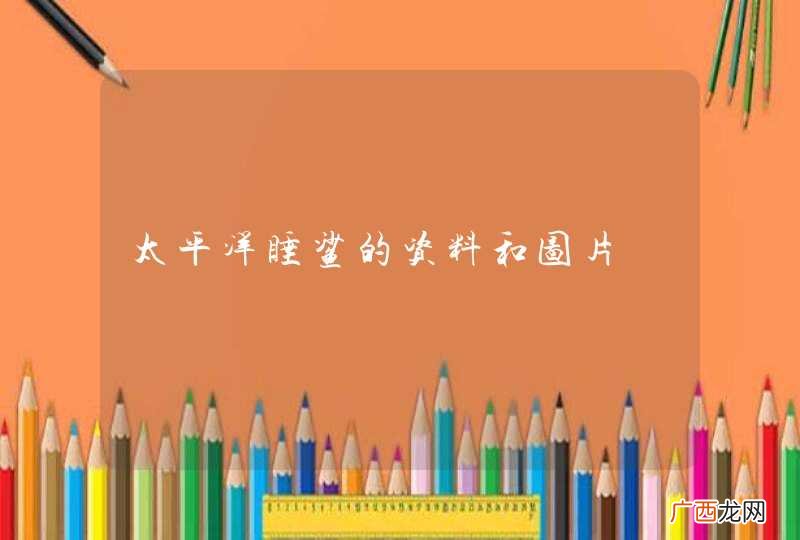 太平洋睡鲨的资料和图片