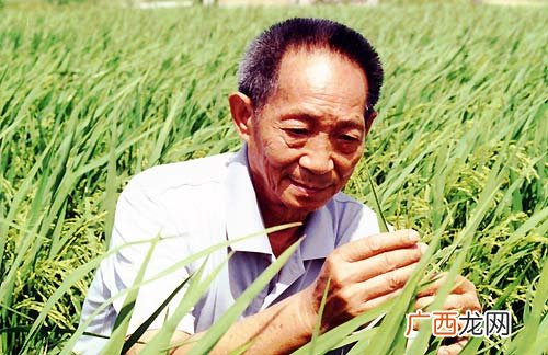 袁隆平的两个梦想是什么,禾下乘凉梦原文?