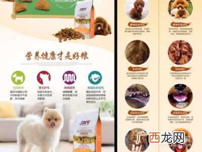 怎样选狗粮,狗粮怎么喂合适?