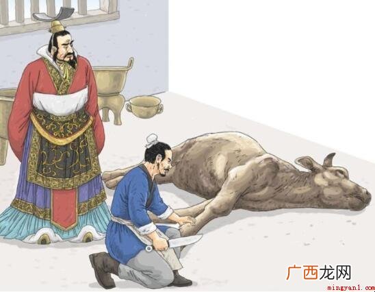 庖丁解牛的启示是什么? 庖丁解牛的启示是什么