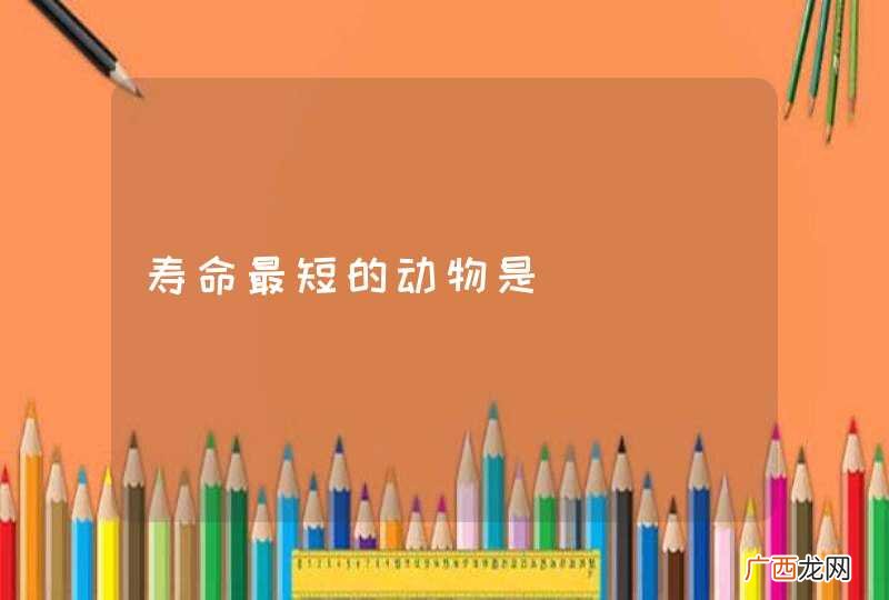 寿命最短的动物是