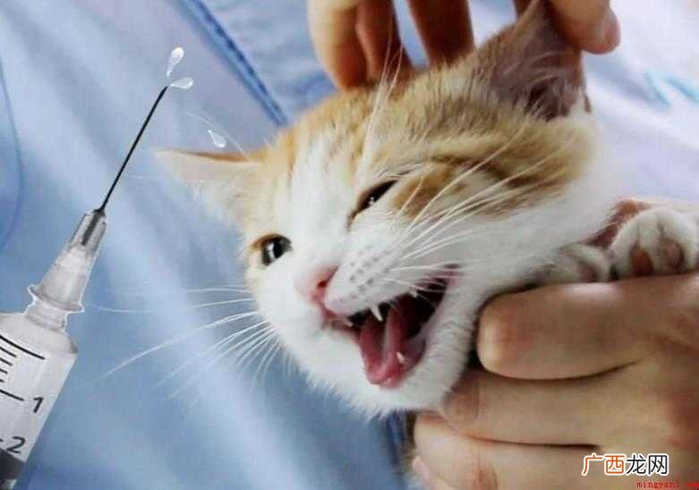 狂犬病疫苗管多久
