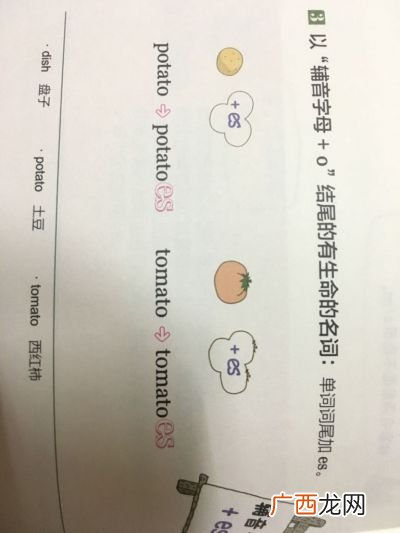 什么是单数型名词和复数型名词,英语中什么是复数名词和单数名词，它们是可数名词吗？