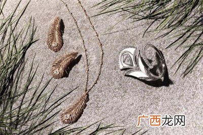 宝诗龙是什么档次的品牌呢,宝诗龙和宝格丽哪个贵？