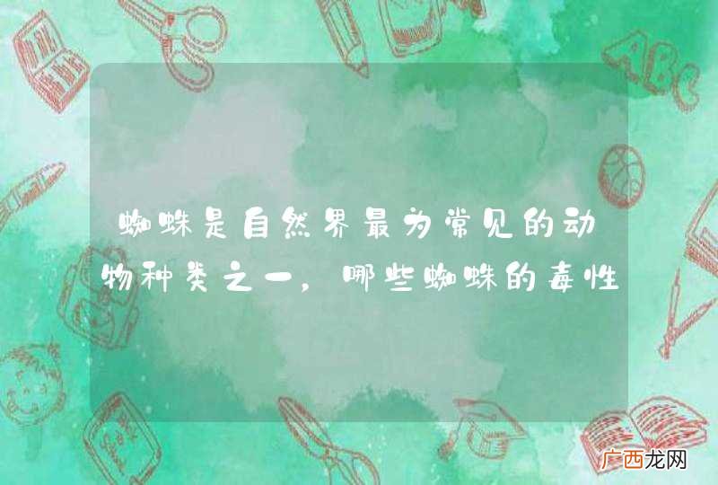 蜘蛛是自然界最为常见的动物种类之一，哪些蜘蛛的毒性很强？