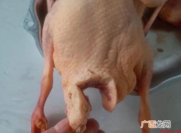清炖鸭子怎么做好吃_健康频道 清炖鸭子怎么做好吃