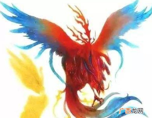 九凤和凤凰的区别,道教中的九龙九凤是什么？