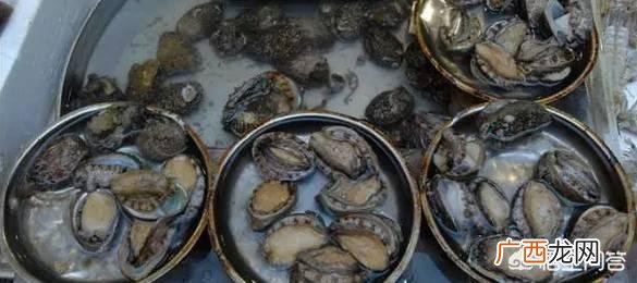 活鲍鱼怎么处理,鲜活的鲍鱼怎么处理存放？