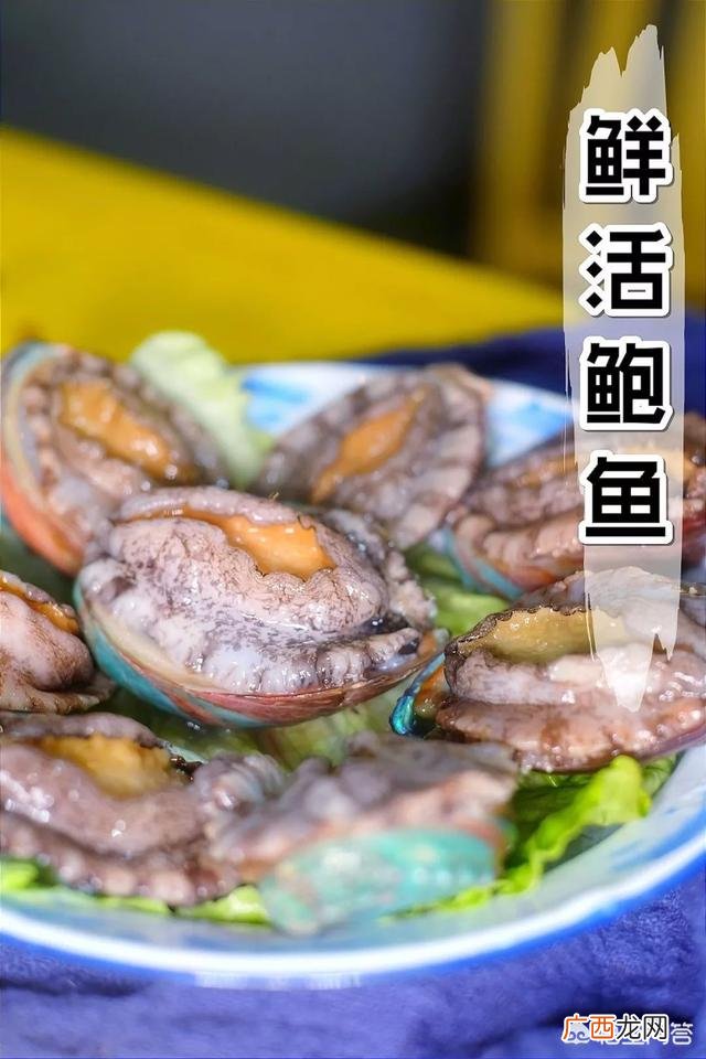 活鲍鱼怎么处理,鲜活的鲍鱼怎么处理存放？
