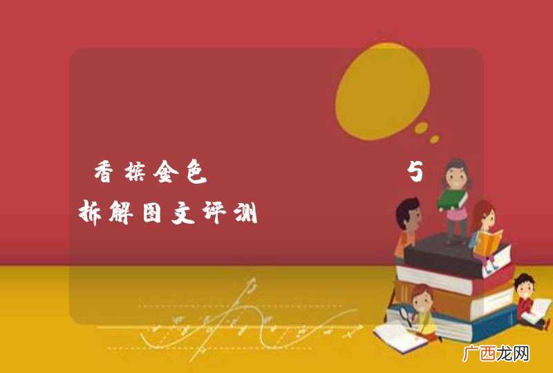 香槟金色iPhone5S拆解图文评测