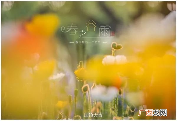 敬畏自然的含义是什么,3作为当代大学生在生活中如何做到尊重自然保护自然？