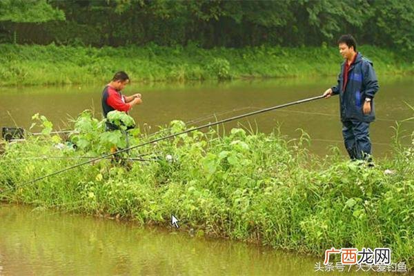深秋钓鲤鱼用什么打窝,秋天在深水的地方钓鲤鱼还是浅水呢？
