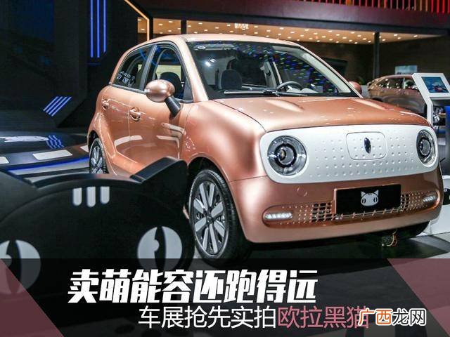 欧拉黑猫是什么牌子的车,o标志是什么牌子的电动车？