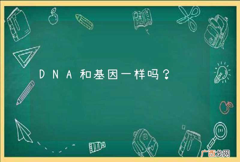 DNA和基因一样吗？