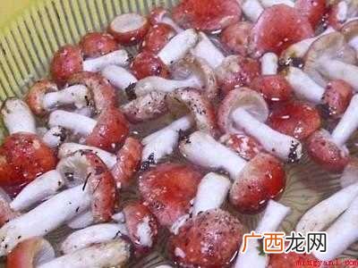 新鲜红菇怎么保存步骤图