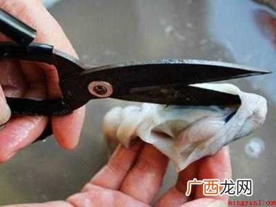 章鱼怎么清洗处理