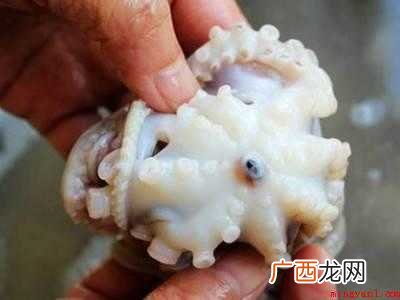 章鱼怎么清洗处理