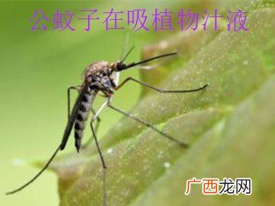 蚊子吸血原理,驱蚊机原理？