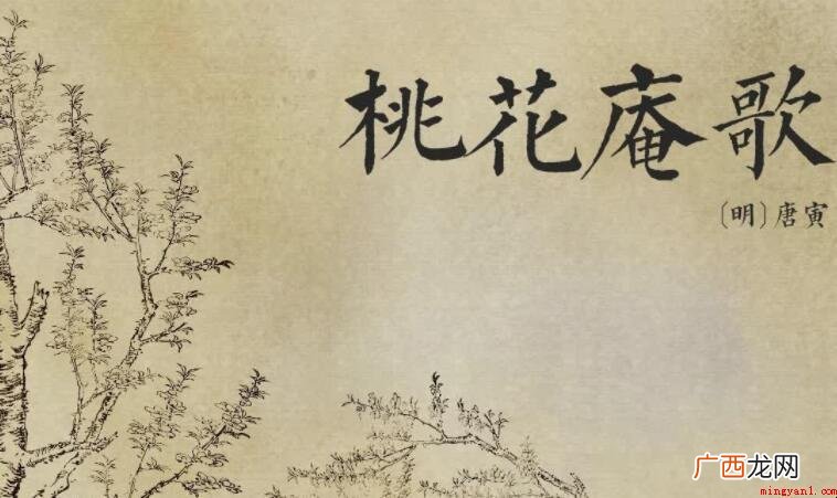 桃花坞里桃花庵的全诗是什么