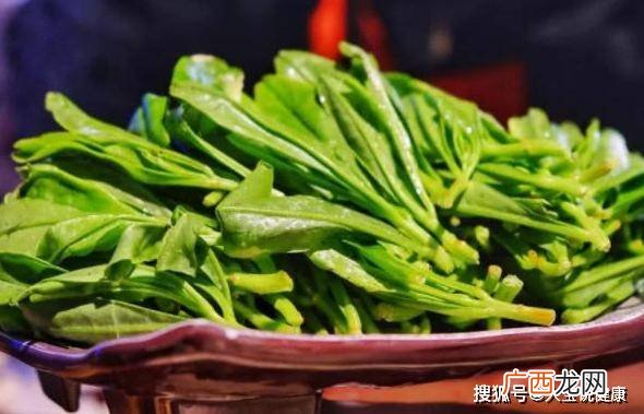 苦麻菜功效价值营养丰富,莴笋和苦麻菜的区别？