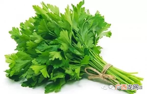 欧芹是香菜还是芹菜,外国香菜叫什么？
