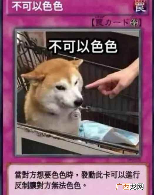 “不可以色色”是新型表情卡片 不可以瑟瑟是什么意思