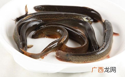 黄金泥鳅怎么养,黄金泥鳅怎么养在家里？