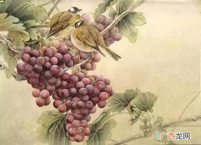 国画葡萄如何画的晶莹剔透,国画写意葡萄的高光怎么画？