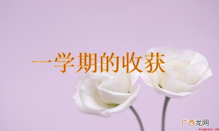 一学期是一年还是半年? 一学期是一年还是半年