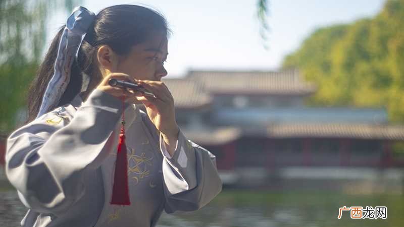 抖音小女子不才是什么梗