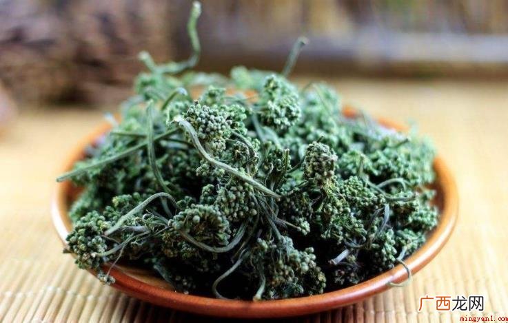 参花历史记录有哪些_健康频道 参花历史记录有哪些