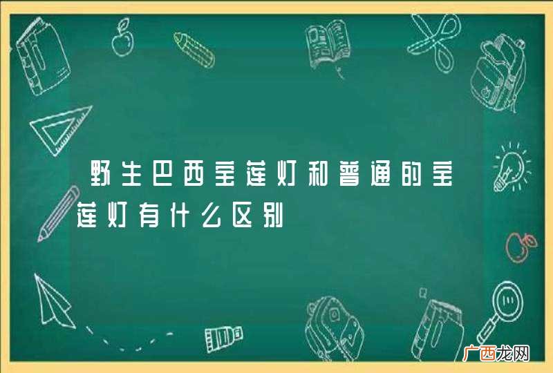 野生巴西宝莲灯和普通的宝莲灯有什么区别