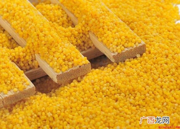 黄米是什么米_健康频道 黄米是什么米