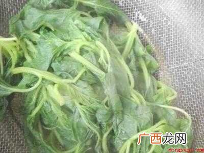 芝麻苗怎么做好吃