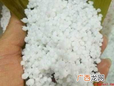 西米粽怎么包才Q弹
