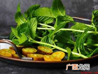 干薄荷叶怎么吃