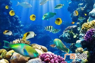 什么海底是个什么的世界,海底真是个物产丰富的世界缩句？