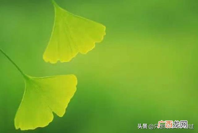 不忘初心方得始终什么意思下句,不忘初心方得始终是什么意思？