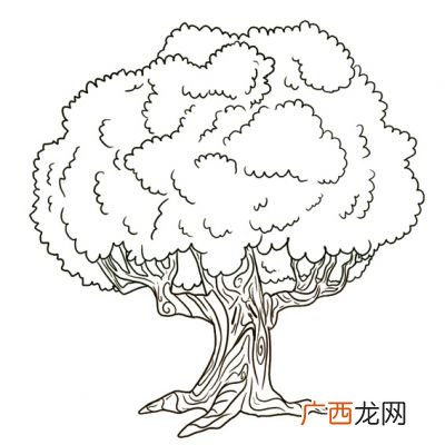 大树怎么画,怎么画树？