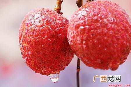 荔枝的成熟时间 荔枝什么时候成熟