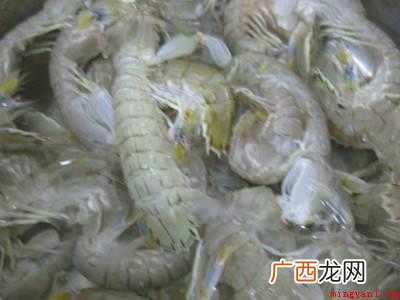 皮皮虾怎样做好吃又简单