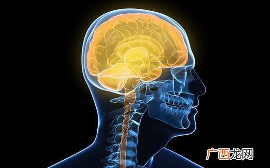 脂肪记忆力是三个月有科学依据吗,脂肪记忆为多长时间？