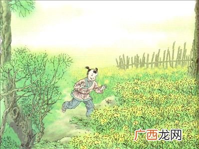 宿新市宿新市徐公店的意思,古诗宿新市徐公店的意思是什么？