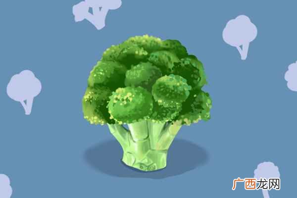 含有蛋白质的蔬菜 蛋白质食物有哪些蔬菜