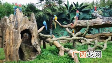 杭州野生动物园的门票多少一张,动物园在杭州的什么地方？