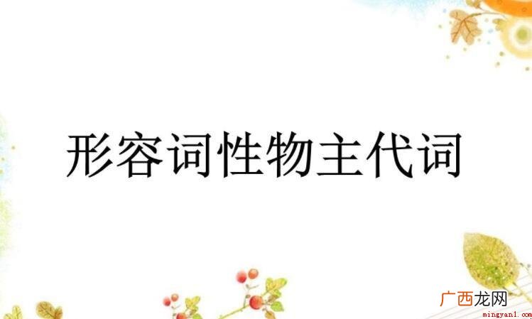 什么是形容词性物主代词